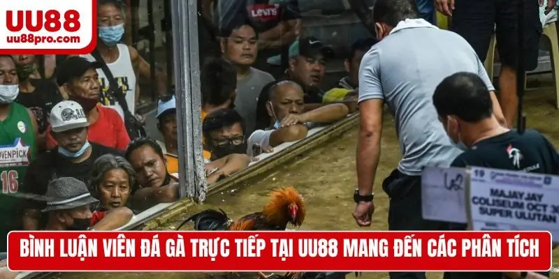 Bình luận viên đá gà trực tiếp tại UU88 mang đến các phân tích