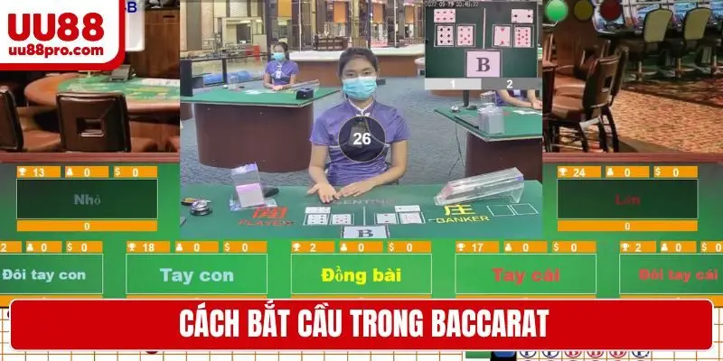 cách bắt cầu trong baccarat