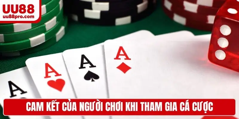 Cam kết của người chơi tại nhà cái khi tham gia cá cược