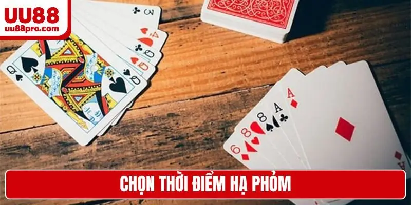 Chọn thời điểm hạ phỏm