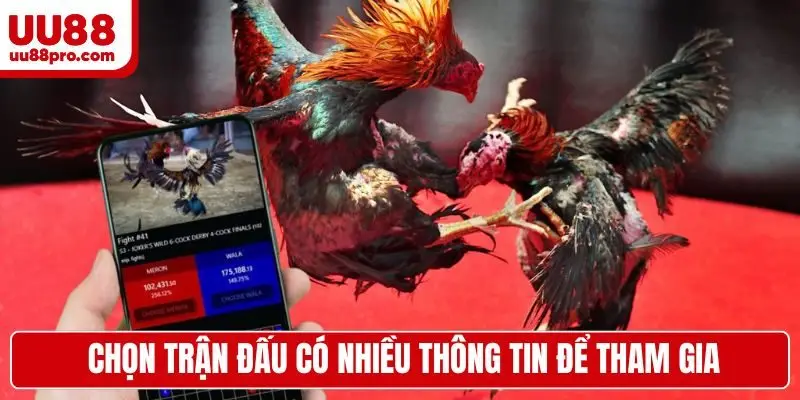 Chọn trận đấu có nhiều thông tin để tham gia