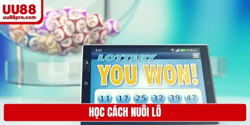 Học cách nuôi lô