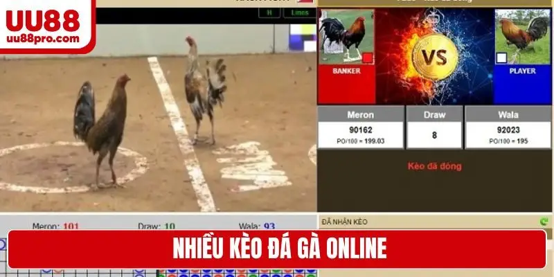 Nhiều kèo đá gà online