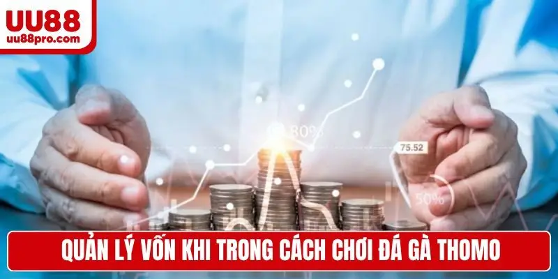 Quản lý vốn khi trong cách chơi đá gà Thomo