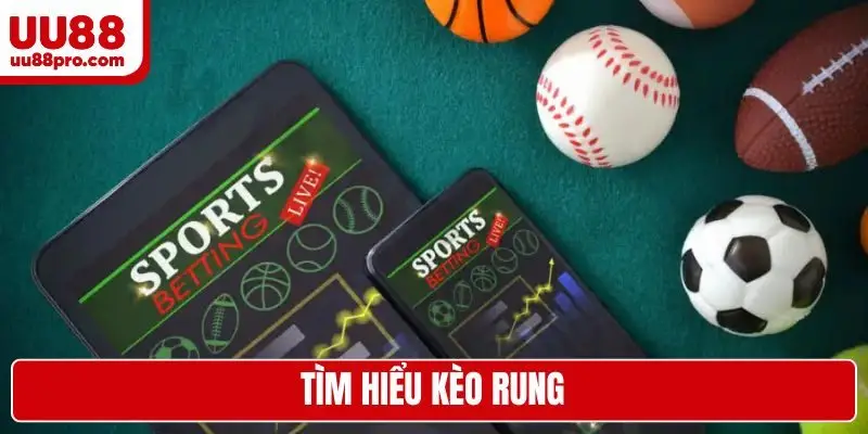 tìm hiểu kèo rung