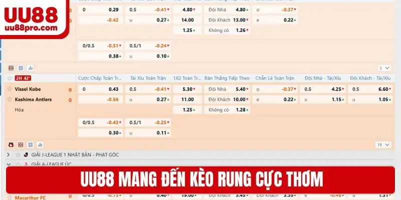 UU88 mang đến kèo rung cực thơm